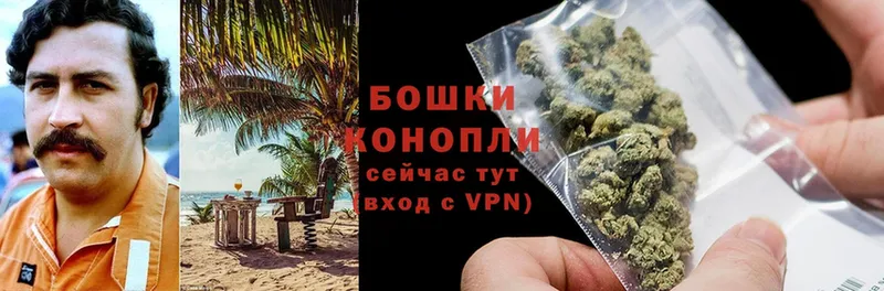 сколько стоит  Дальнереченск  МАРИХУАНА SATIVA & INDICA 